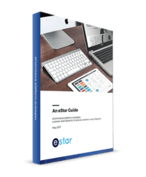 An_eStar_Guide-eCommerce_platform_strategies.png